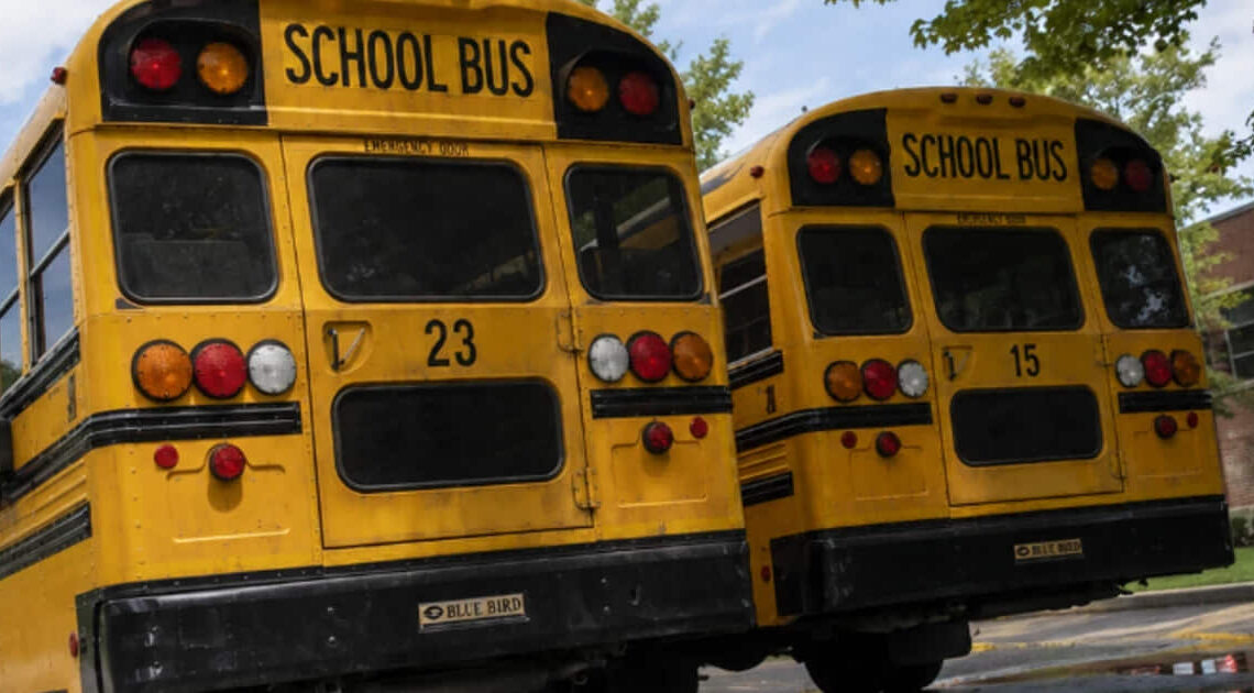 Dimenticata sullo scuolabus, muore una bambina di 6 anni 1 Scuolabus americano