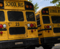 Scuolabus americano