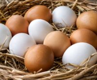Uova di gallina bianche e marroni in un cestino di paglia per la Giornata mondiale dell'uovo 2026