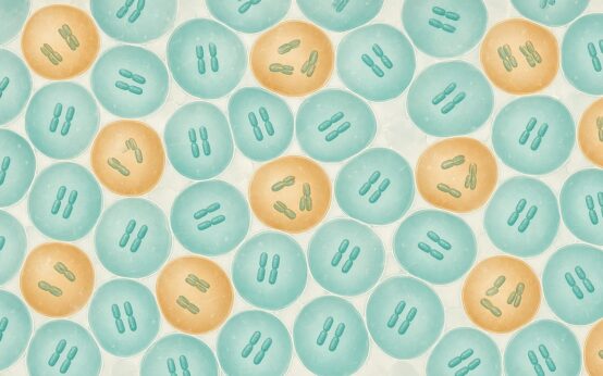 Illustrazione generata con AI: cellule a mosaico, alcune con un cromosoma in più
