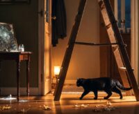 Gatto nero che passa sotto una scala accanto a uno specchio rotto, simboli delle superstizioni del venerdì 13 e del venerdì 17