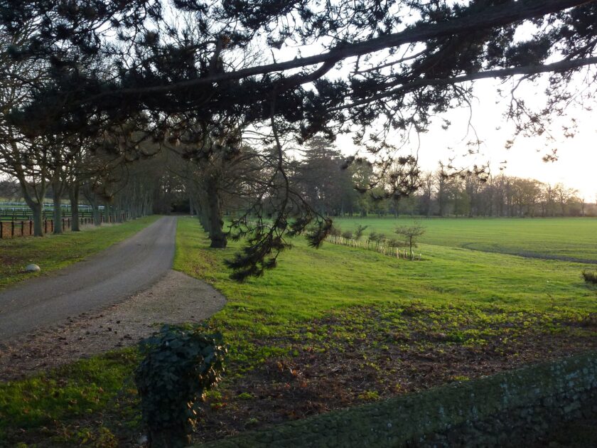 Il principe che ha battuto la polizia: mandati illegittimi, ma l'indagine su Andrew Mountbatten-Windsor va avanti 3 Viale d'accesso a Wood Farm nella tenuta di Sandringham, in Norfolk